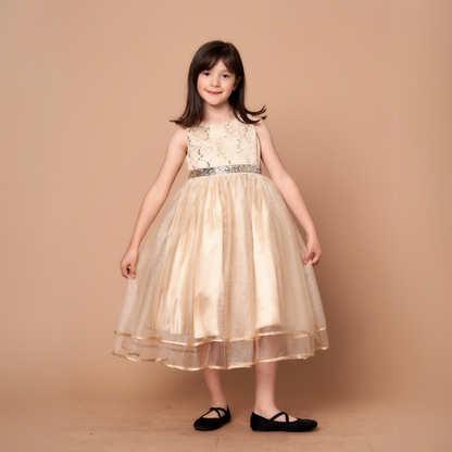 Party/Flower Girl Dress (D-813)