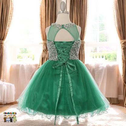 Party / Flower Girl Dress (8501)