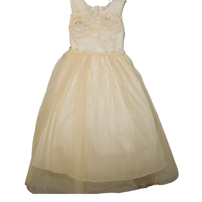 Party/Flower Girl Dress (D-833)