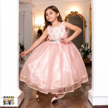 Party/Flower Girl Dress (D-813)