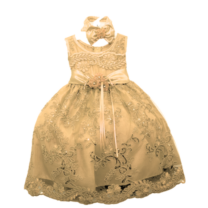 Baby Party/Flower Girl Dress (D1560)