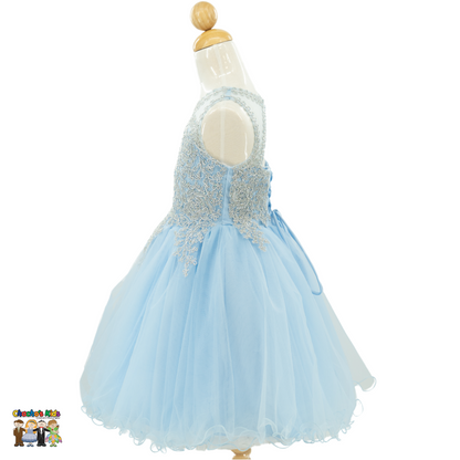 Embroidered Tulle Party Dress (9004)