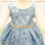 Baby Party / Flower Girl Dress (D-1616)-Girls-Chacho's-Kids