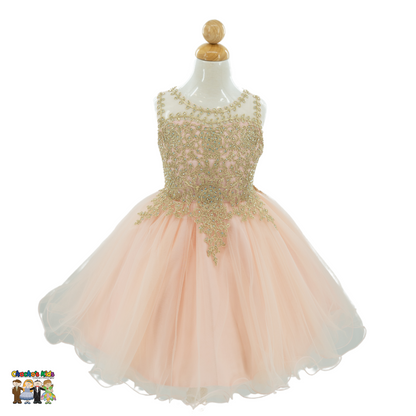 Embroidered Tulle Party Dress (9004)