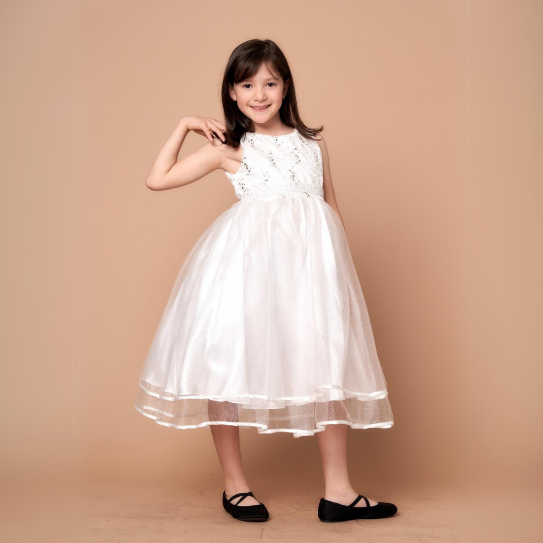 Party/Flower Girl Dress (D-813)