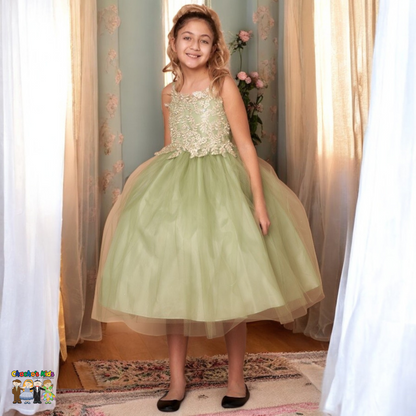 Party / Flower Girl Dress (D-778-Big)