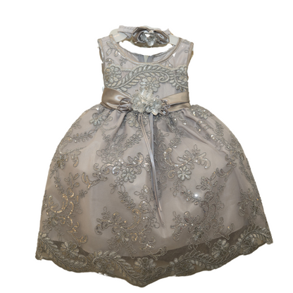 Baby Party/Flower Girl Dress (D1560)