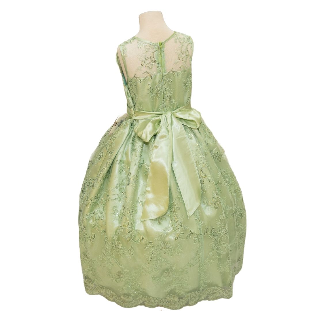 Party/Flower Girl Dress (D1550)