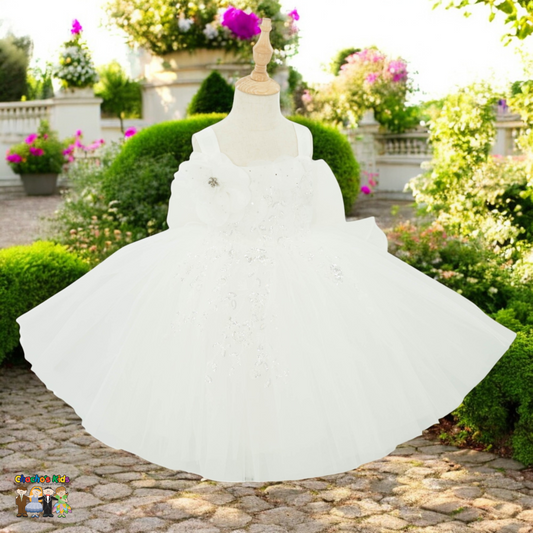 Party/Flower Girl Dress (9178)