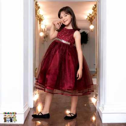 Party/Flower Girl Dress (D-813)