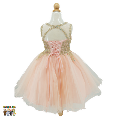 Embroidered Tulle Party Dress (9004)