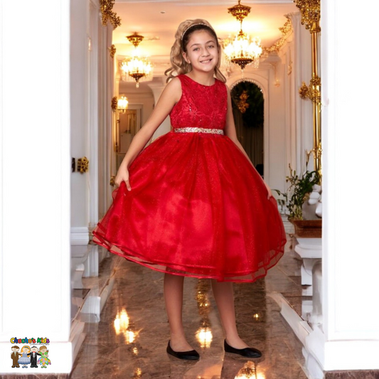 Party/Flower Girl Dress (D-813)