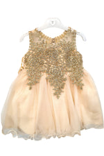 Champagne Baby Embroidered Tulle Dress with metallic floral lace and layered skirt, style 9004m - Chacho's Kids