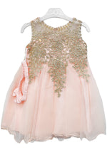 Blush Baby Embroidered Tulle Dress with metallic floral lace and layered skirt, style 9004m - Chacho's Kids