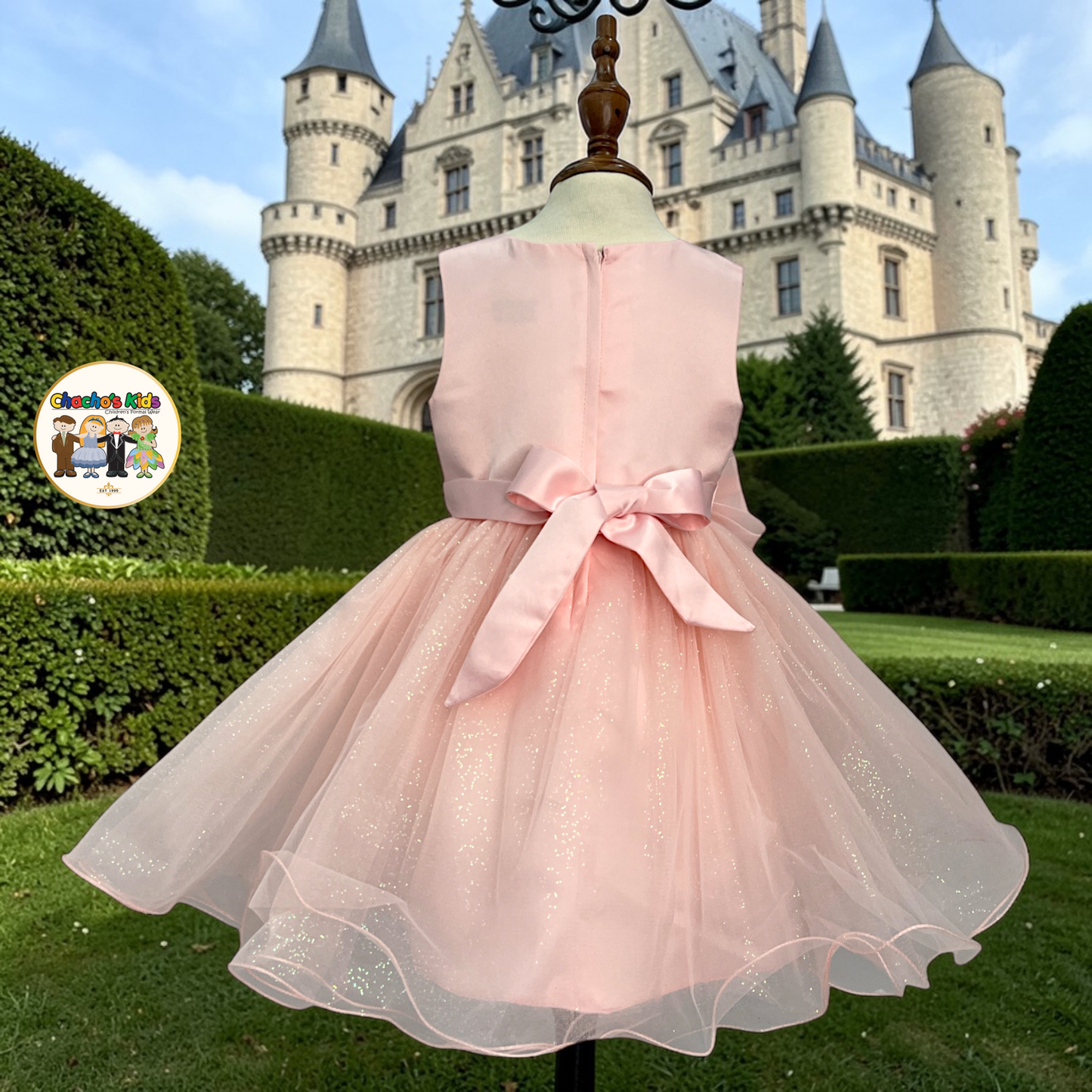 Baby Party / Flower Girl Dress (9166B)