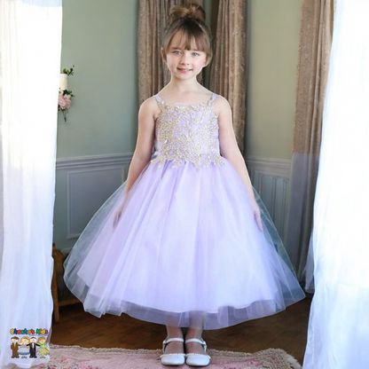 Party / Flower Girl Dress (D-778-Big)