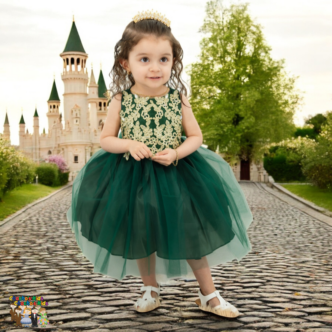 Baby Party / Flower Girl Dress (B-778)
