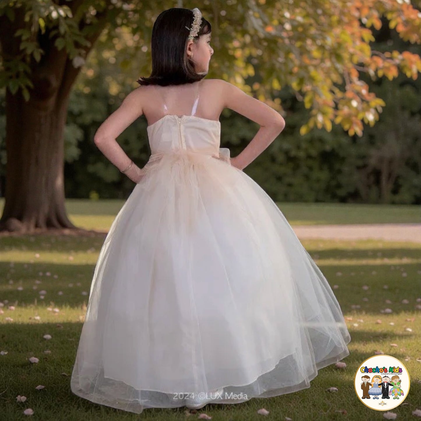 Party/Flower Girl Dress (D-830)