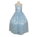 Party/Flower Girl Dress (D1550)-Girls-Baby Blue-2-Chacho's Kids