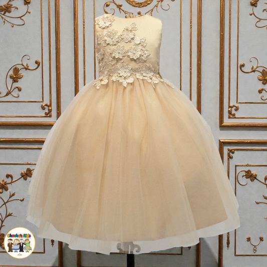 Girls Floral Tulle Party / Flower Girl Dress (1090)