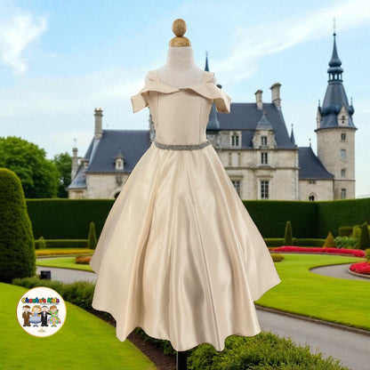 Ball Gown Dress (437)