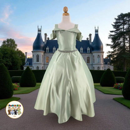 Ball Gown Dress (437)