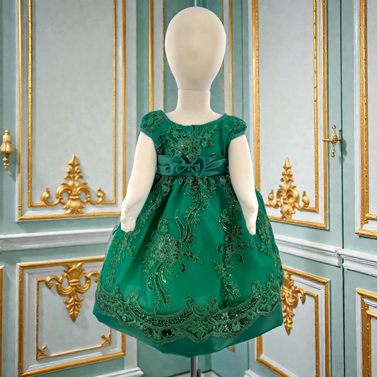 Baby Party / Flower Girl Dress (B191)