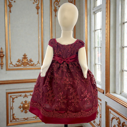 Baby Party / Flower Girl Dress (B191)