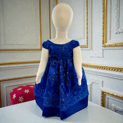 Baby Party / Flower Girl Dress (B191)
