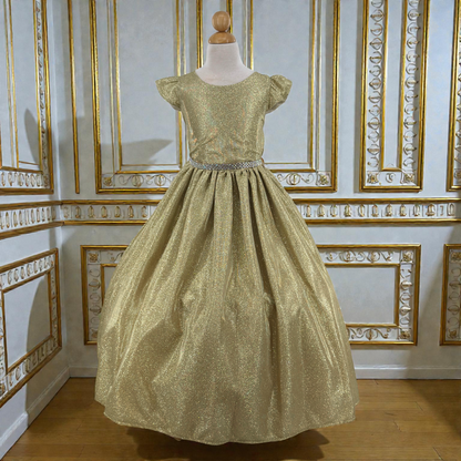 Party / Flower Girl Dress (SS3060)