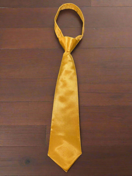 Satin Zipper Tie (Gold)