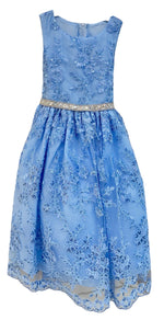 Party / Flower Girl Dress (D-1610)-Girls-Chacho's Kids