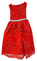 Party / Flower Girl Dress (D-1610)-Girls-Chacho's Kids