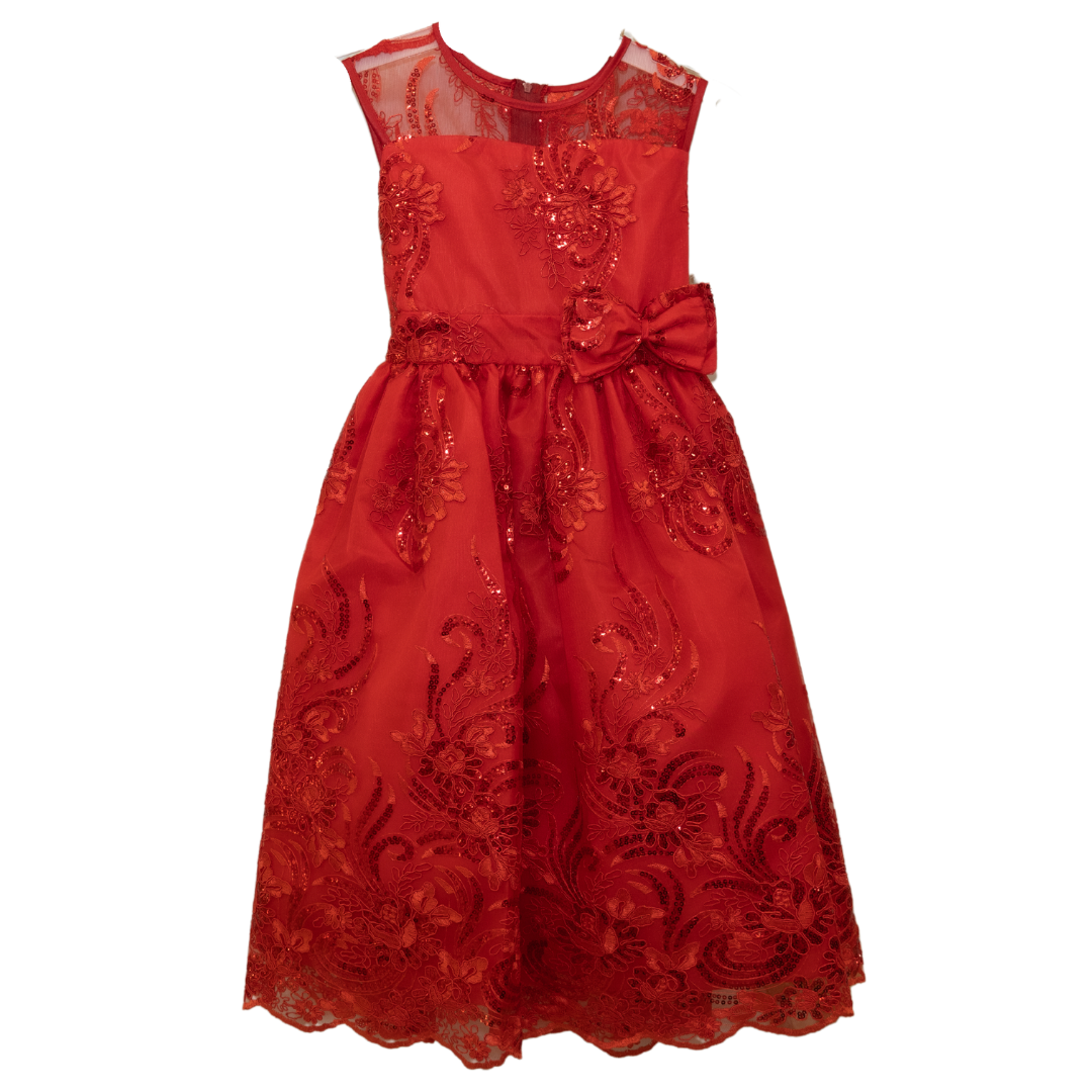 Party/Flower Girl Dress (244)