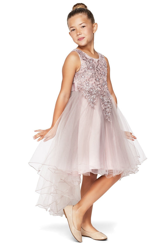 Party / Flower Girl Dress (9086)