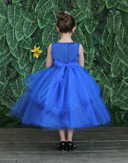 Party / Flower Girl Dress (D-792)