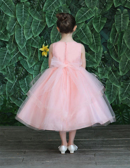 Party / Flower Girl Dress (D-792)