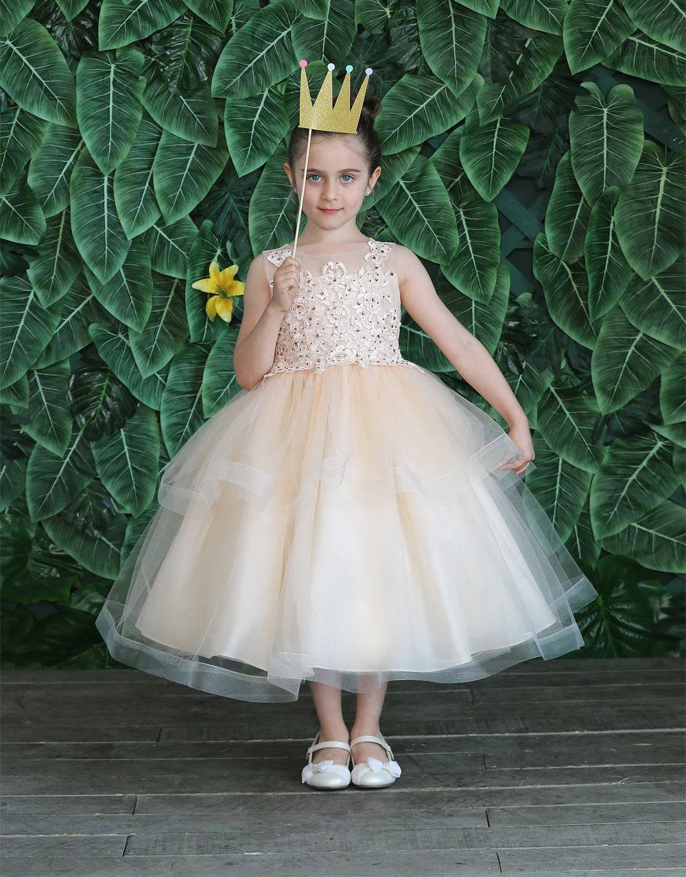 Party / Flower Girl Dress (D-792)