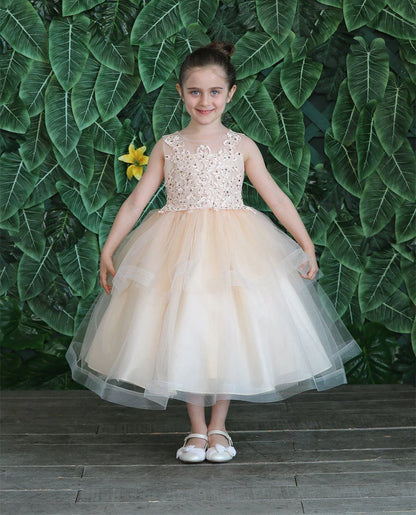 Party / Flower Girl Dress (D-792)