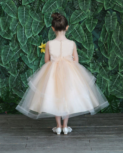 Party / Flower Girl Dress (D-792)