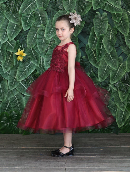 Party / Flower Girl Dress (D-792)