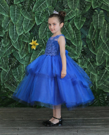 Party / Flower Girl Dress (D-792)