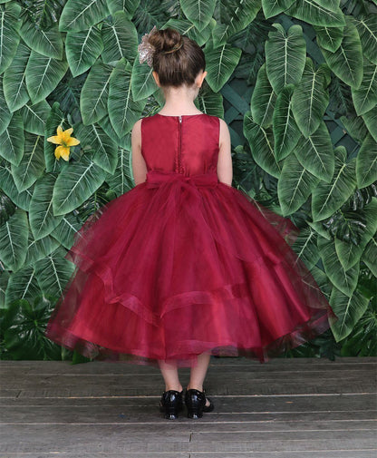 Party / Flower Girl Dress (D-792)