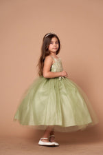 Party / Flower Girl Dress (D-778-Big)-Girls-Chacho's Kids