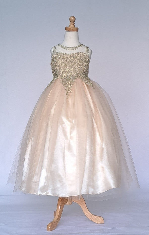 Ball Gown Dress (D-822)