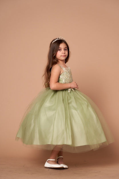 Party / Flower Girl Dress (D-778)