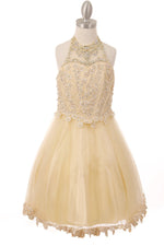 Party / Flower Girl Dress (8500)-Girls-Champagne-4-Chacho's Kids