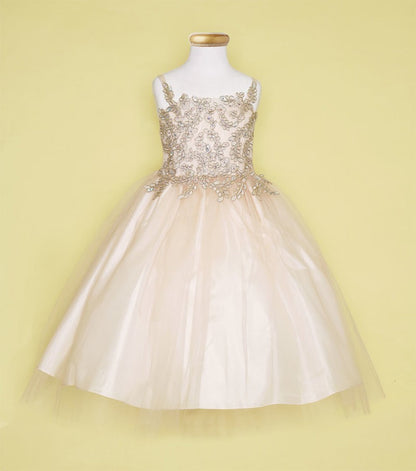 Party / Flower Girl Dress (D-778)