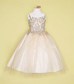 Party / Flower Girl Dress (D-778-Big)-Girls-Champagne/Gold-14-Chacho's Kids