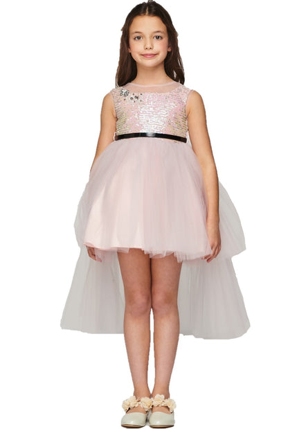 Party / Flower Girl Dress (5098)